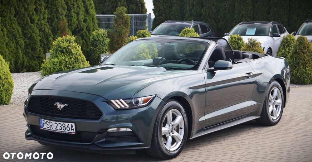 Ford Mustang - 20