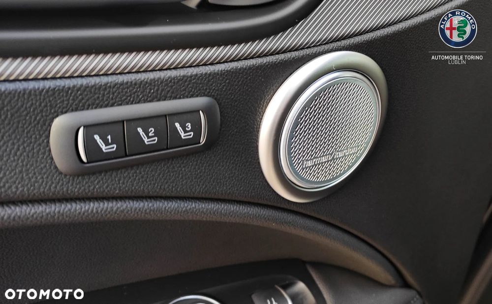 Alfa Romeo Stelvio 2.0 Turbo Veloce Q4 - 18