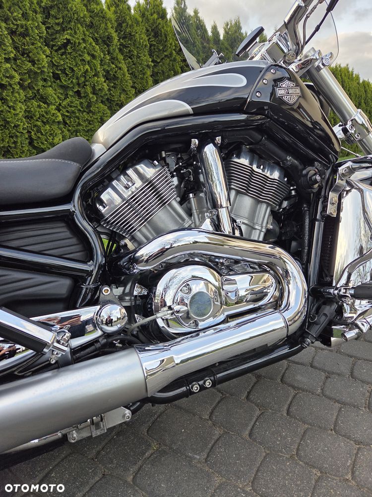Harley-Davidson V-Rod Muscle - 5
