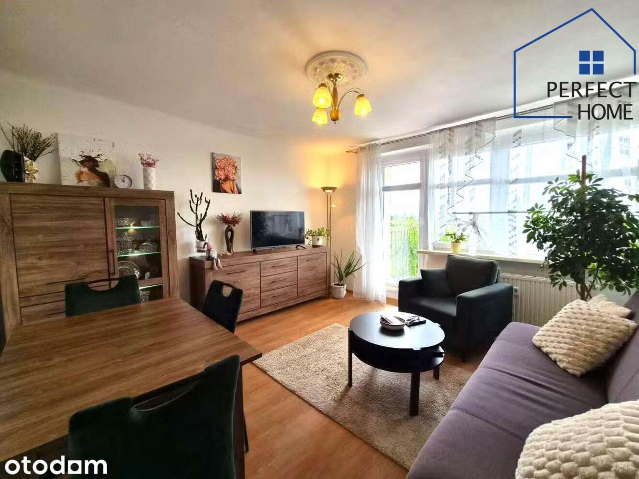 Mieszkanie Jastrzębie 3 Pokoje z balkonem , 2 piętro , niski czynsz