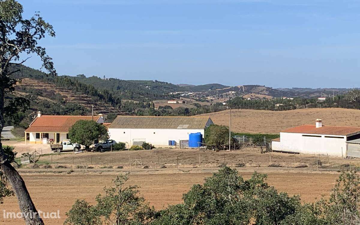 Quintinha no Alentejo com Grande área edificada - Grande imagem: 2/13