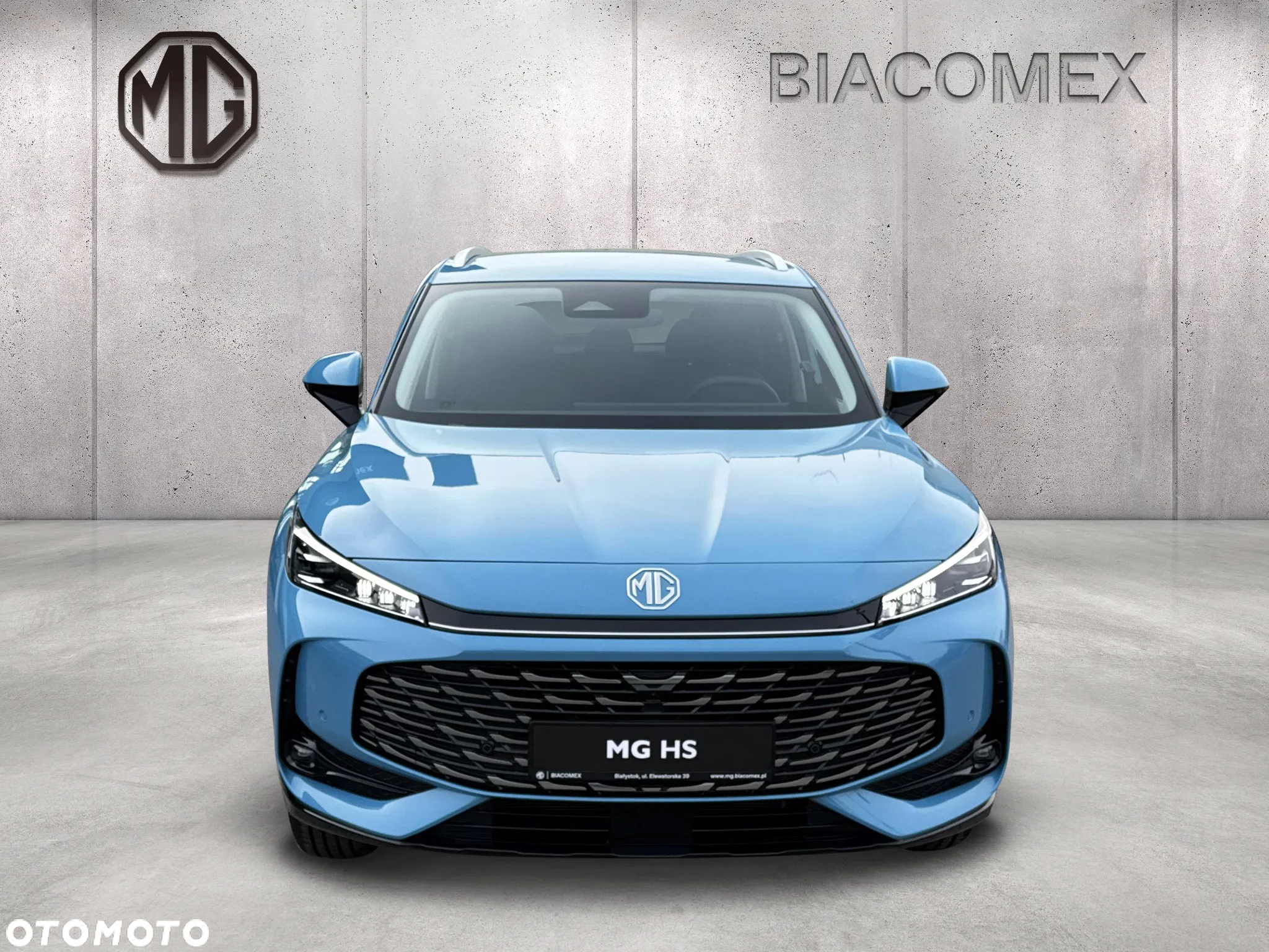MG HS - 8