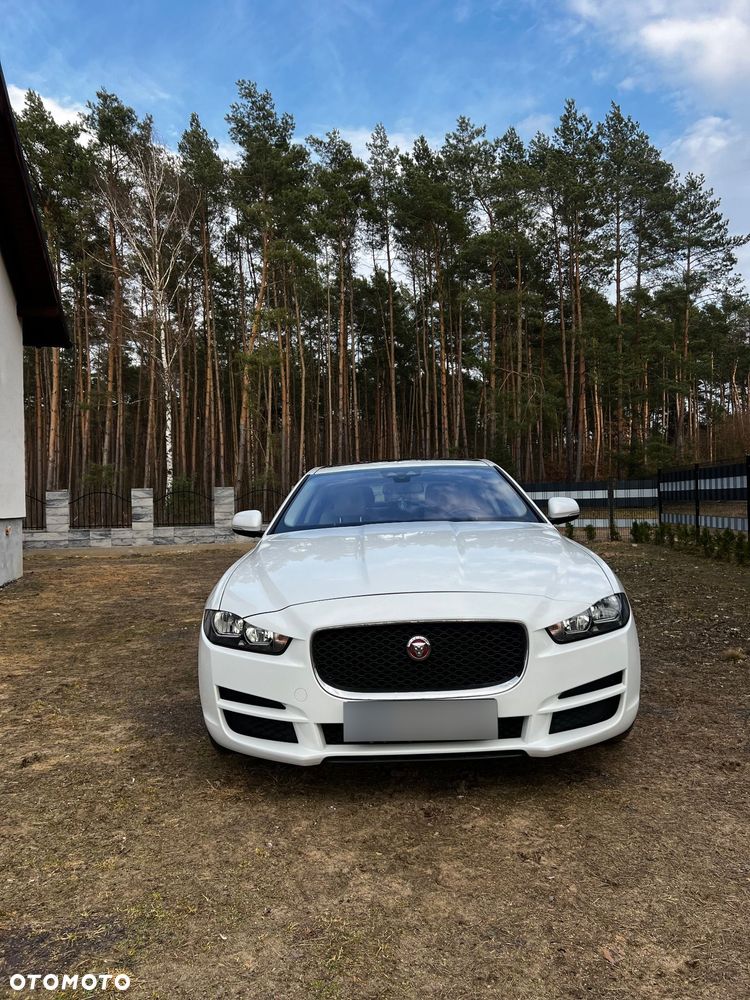 Jaguar XE - 3