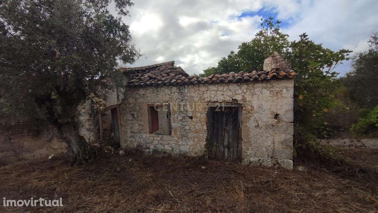 Terreno com casas antigas para Recuperação em São Vicente do Paul, San - Grande imagem: 5/18