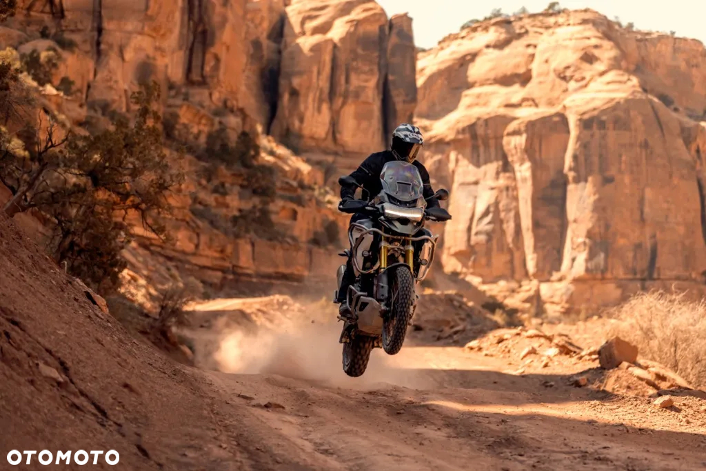 Triumph Tiger - 8