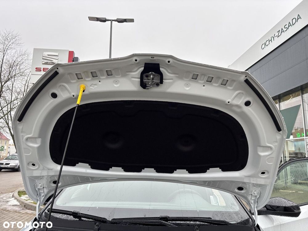 Skoda Fabia 1.0 TSI Monte Carlo DSG - 34