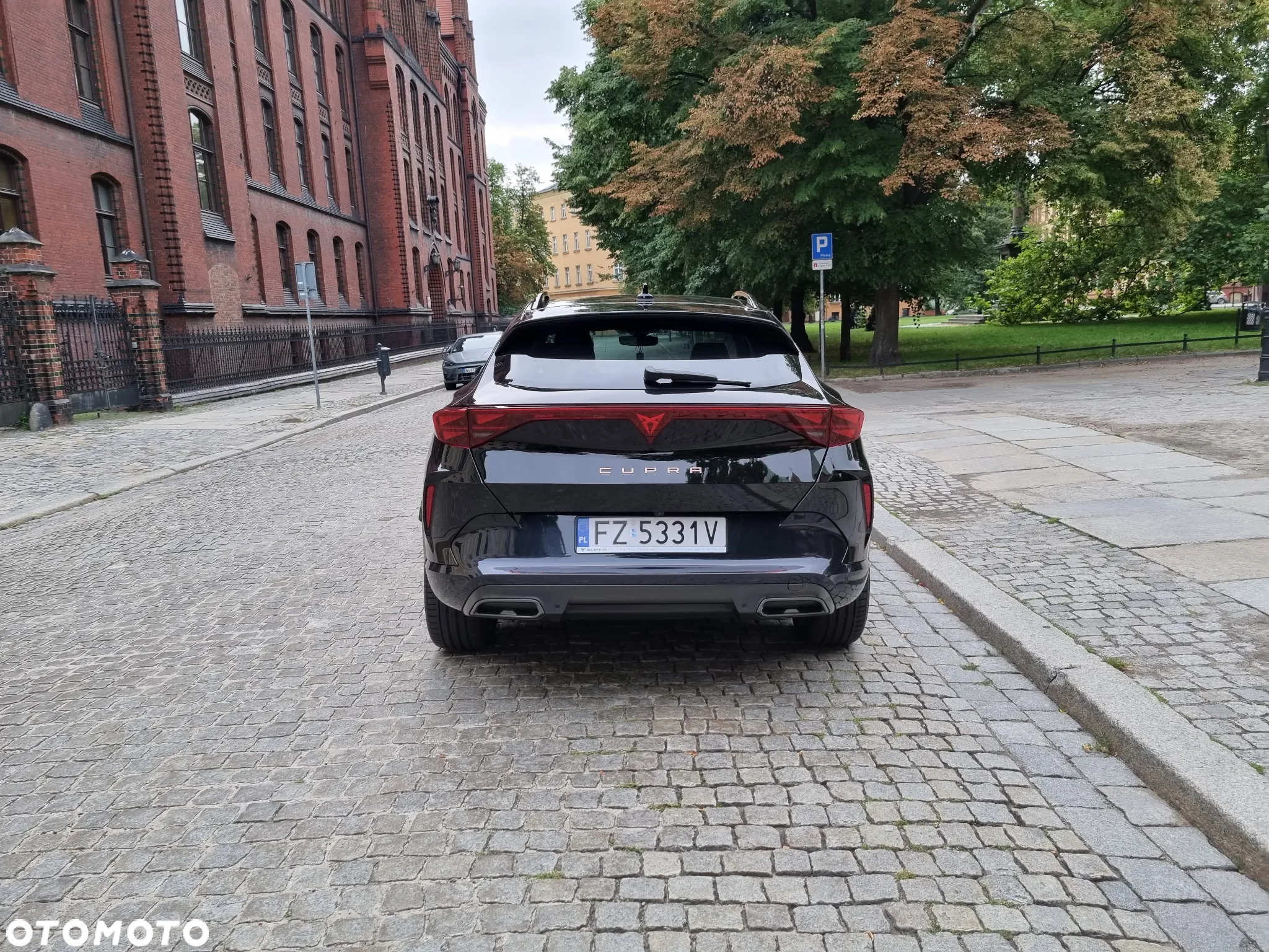 Cupra Formentor 2.0 TDI DSG - 20