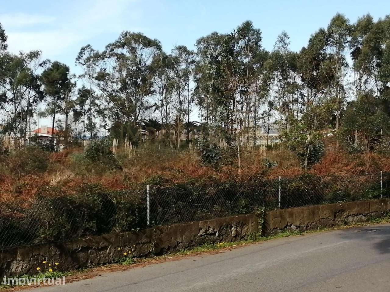 Terreno de 10 851m2 em Lavra - Grande imagem: 2/18