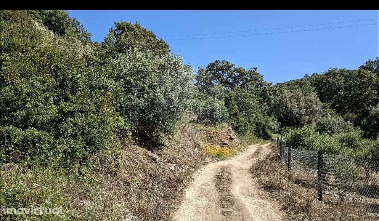 Terreno  para venda - Grande imagem: 4/8