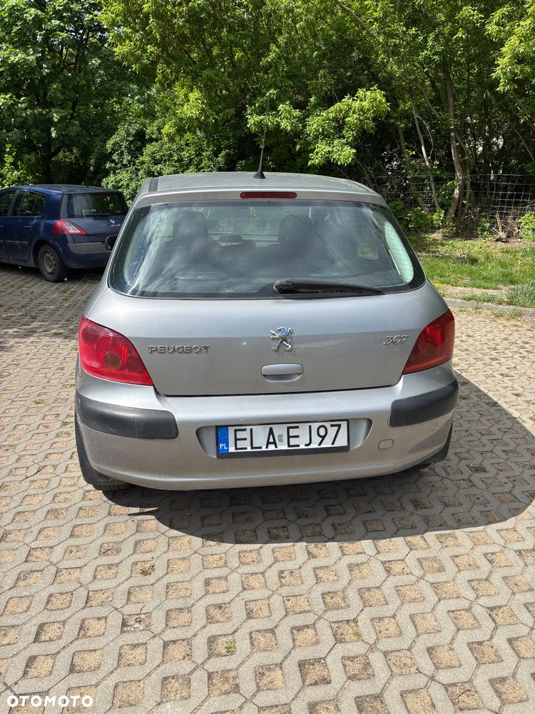 Peugeot 307 1.6 Mistral - 2