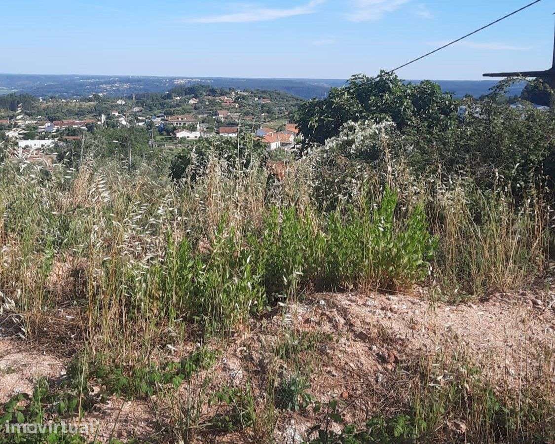 Terreno urbano 680mt2- Vila Nova da Barquinha - Grande imagem: 3/6