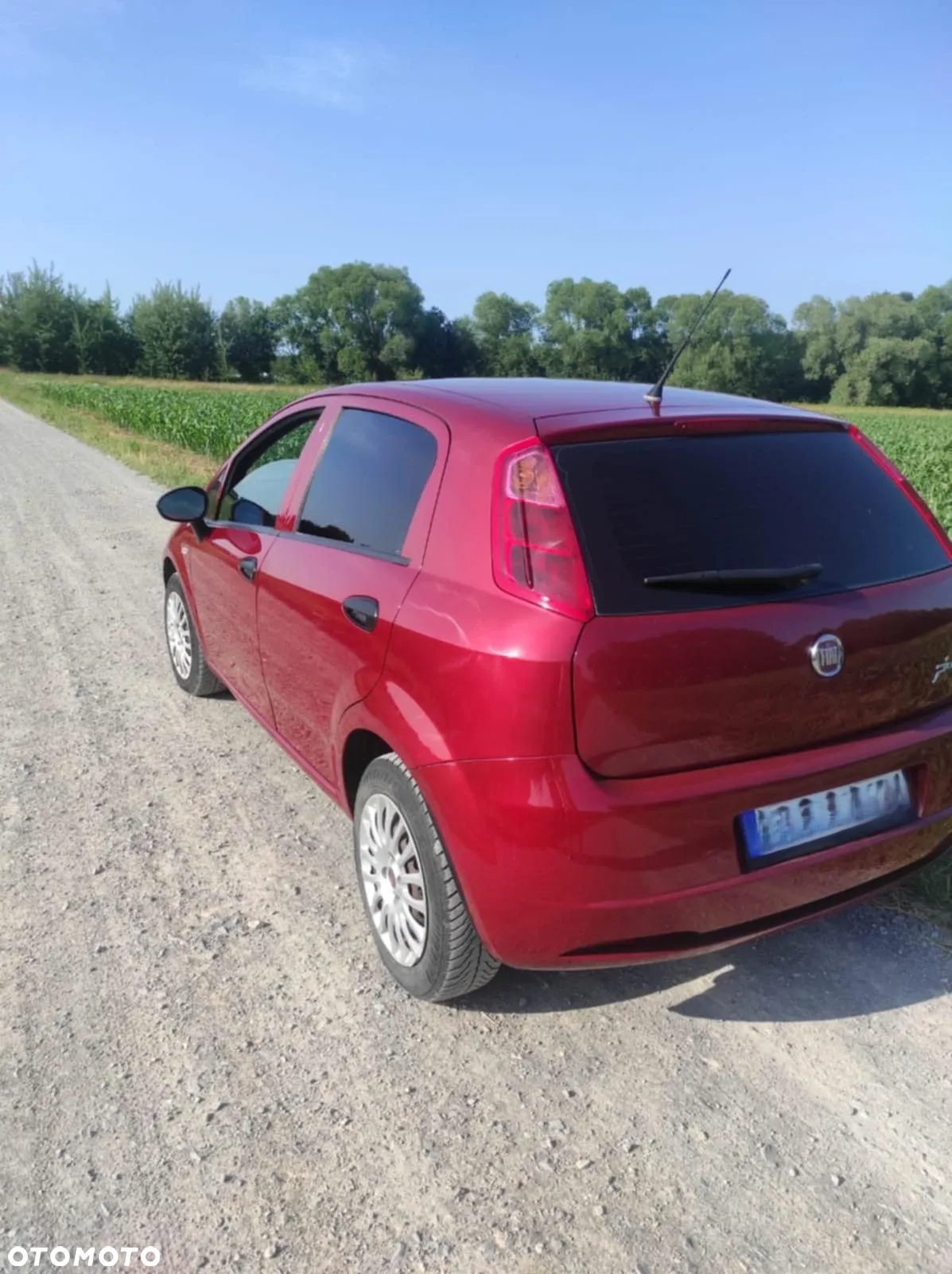 Fiat Punto - 6
