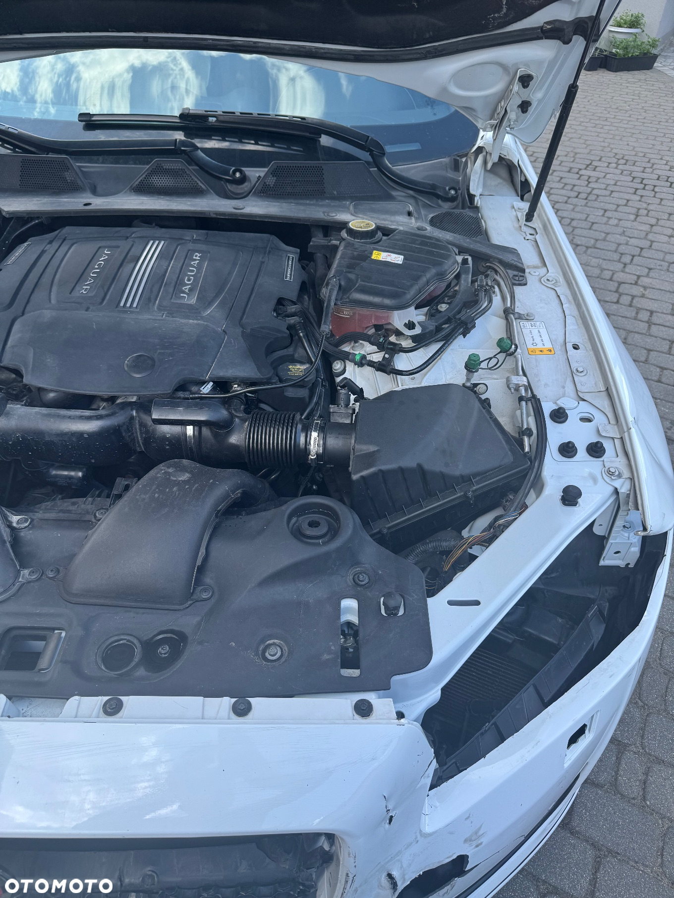 Jaguar XJR 5.0 V8 Kompressor - 35
