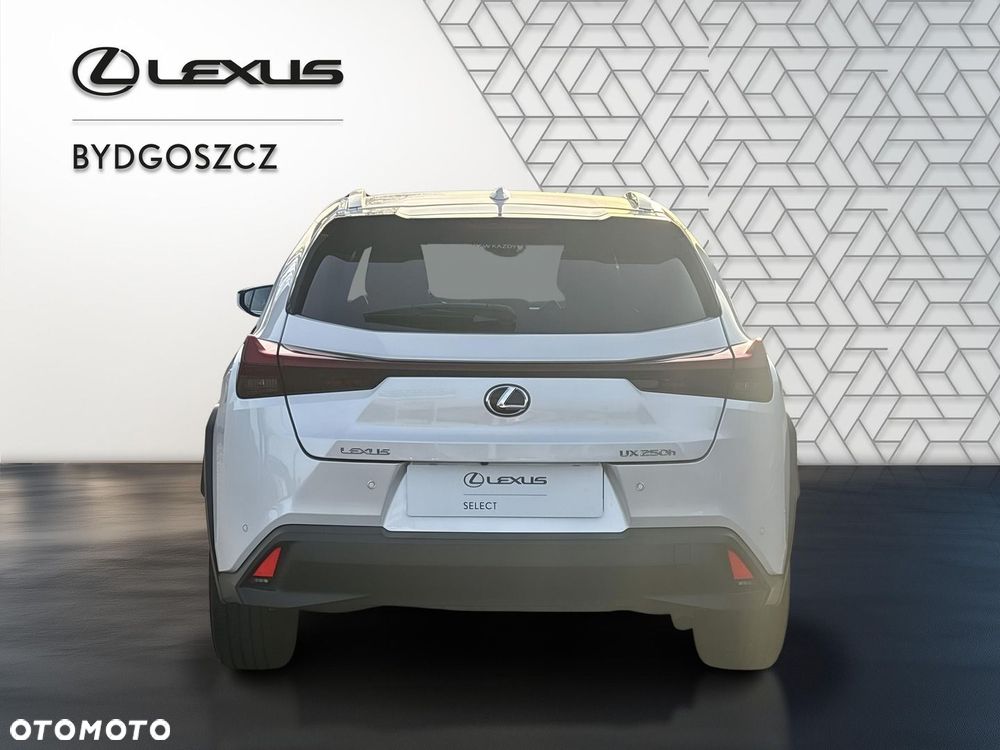 Lexus UX 250h GPF Business 2WD - 5