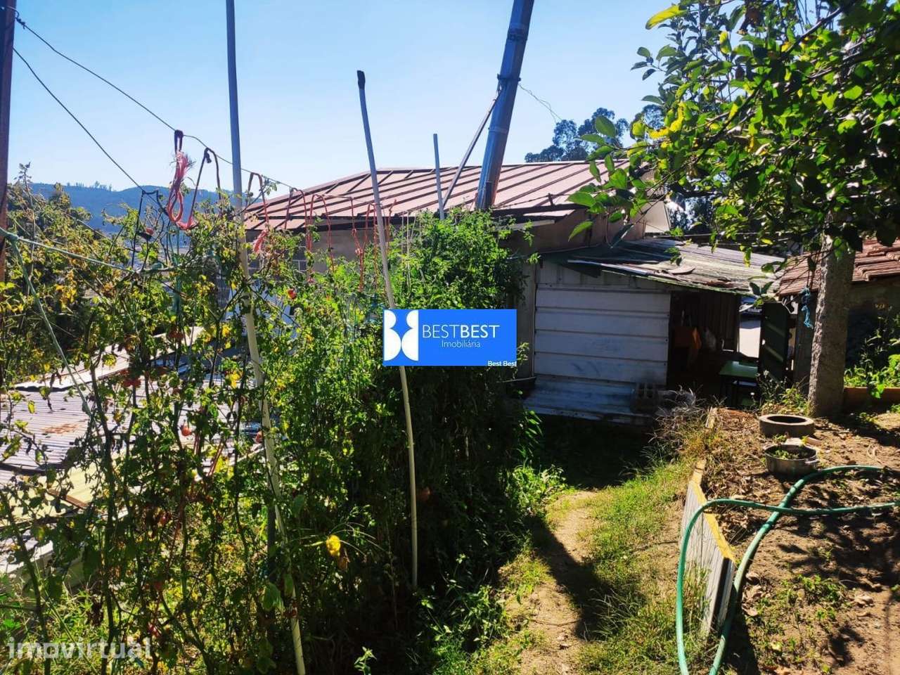 MORADIA INDEPENDENTE,REABILITAÇÃO, TERRENO 2.900M2, TELHADO,15MIN.FA - Grande imagem: 3/30