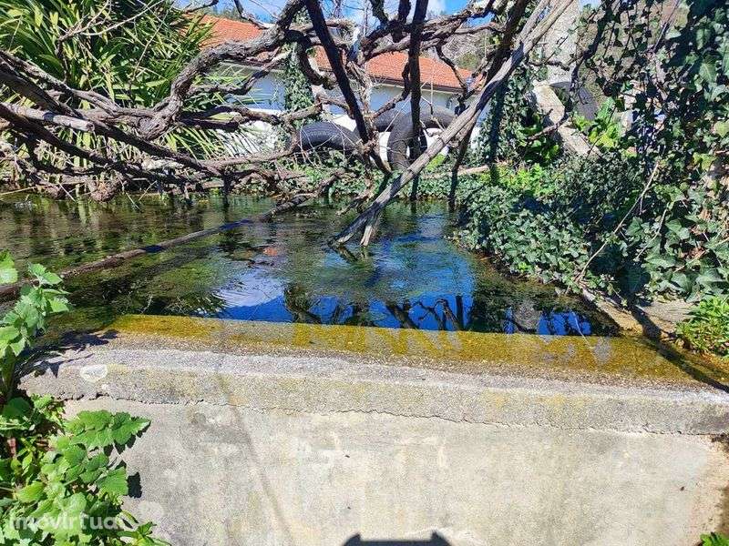 Venda de terreno c/ projeto incluído - Grande imagem: 5/12