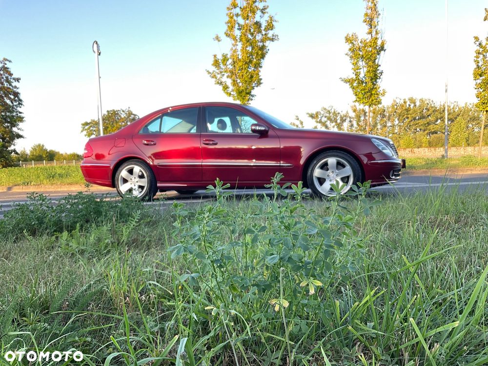 Mercedes-Benz Klasa E 500 Avantgarde - 17