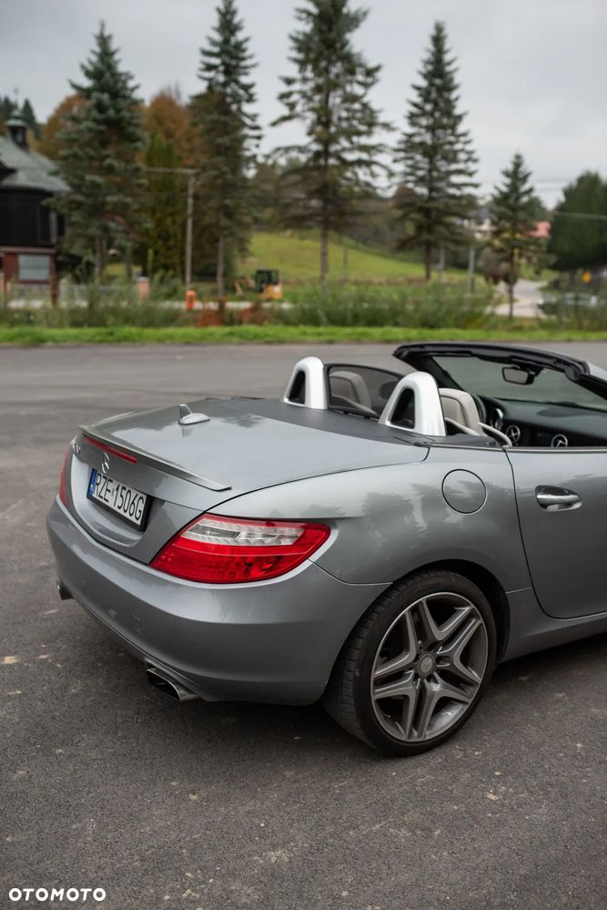 Mercedes-Benz SLK 250 (BlueEFFICIENCY) 7G-TRONIC - 19