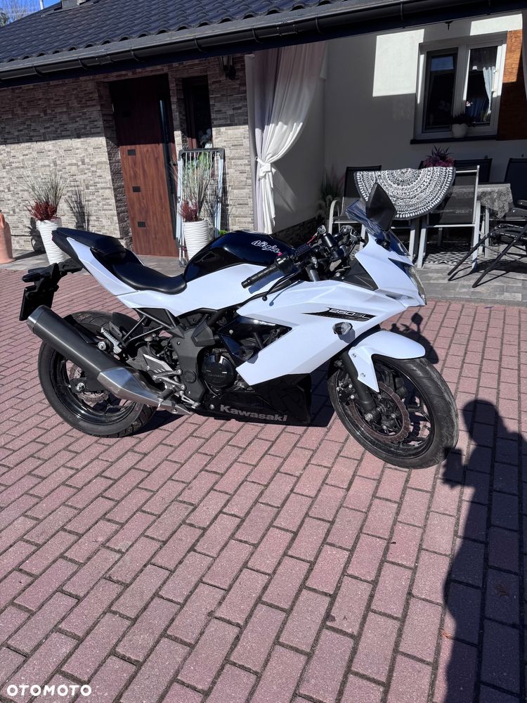 Kawasaki Ninja 250R - 3