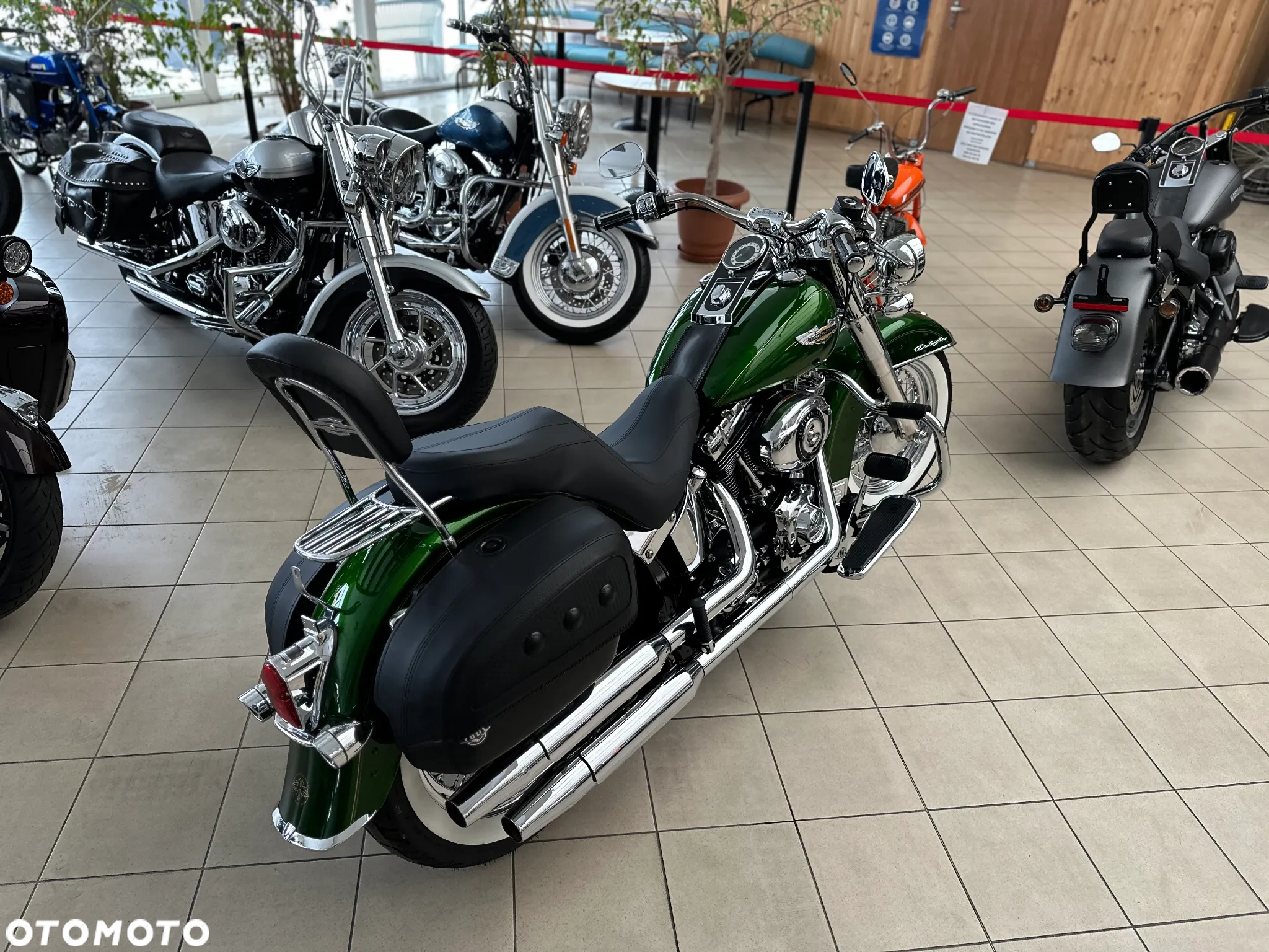 Harley-Davidson Softail - 14