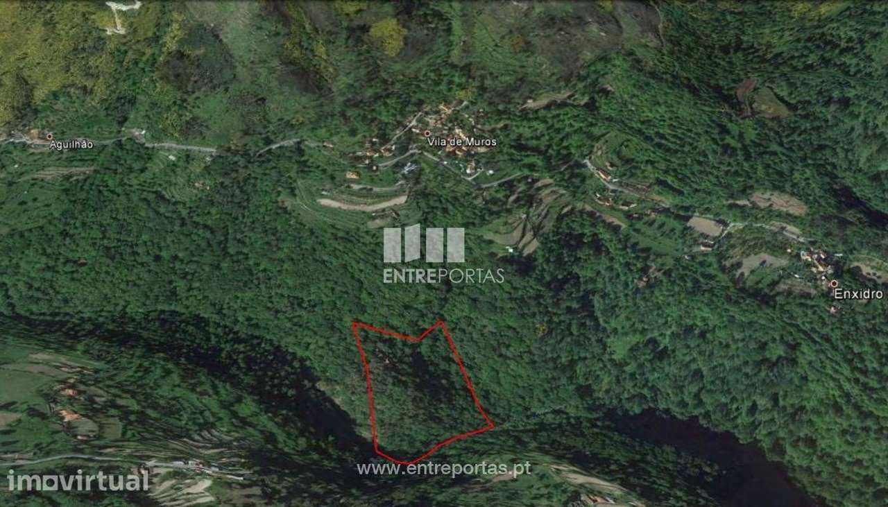 Venda Propriedade, Tendais, Cinfães - Grande imagem: 3/9