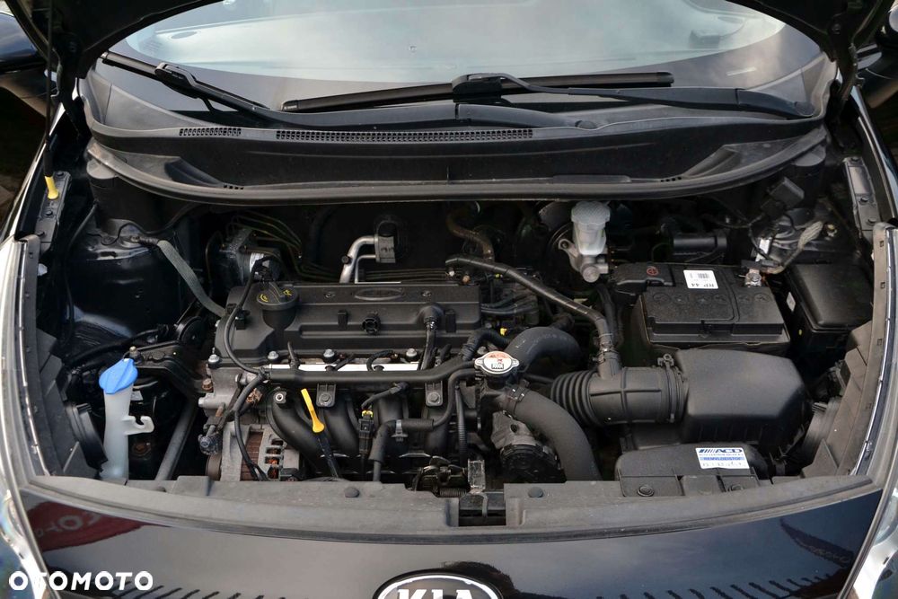 Kia Rio 1.2 Dream Team Edition - 36