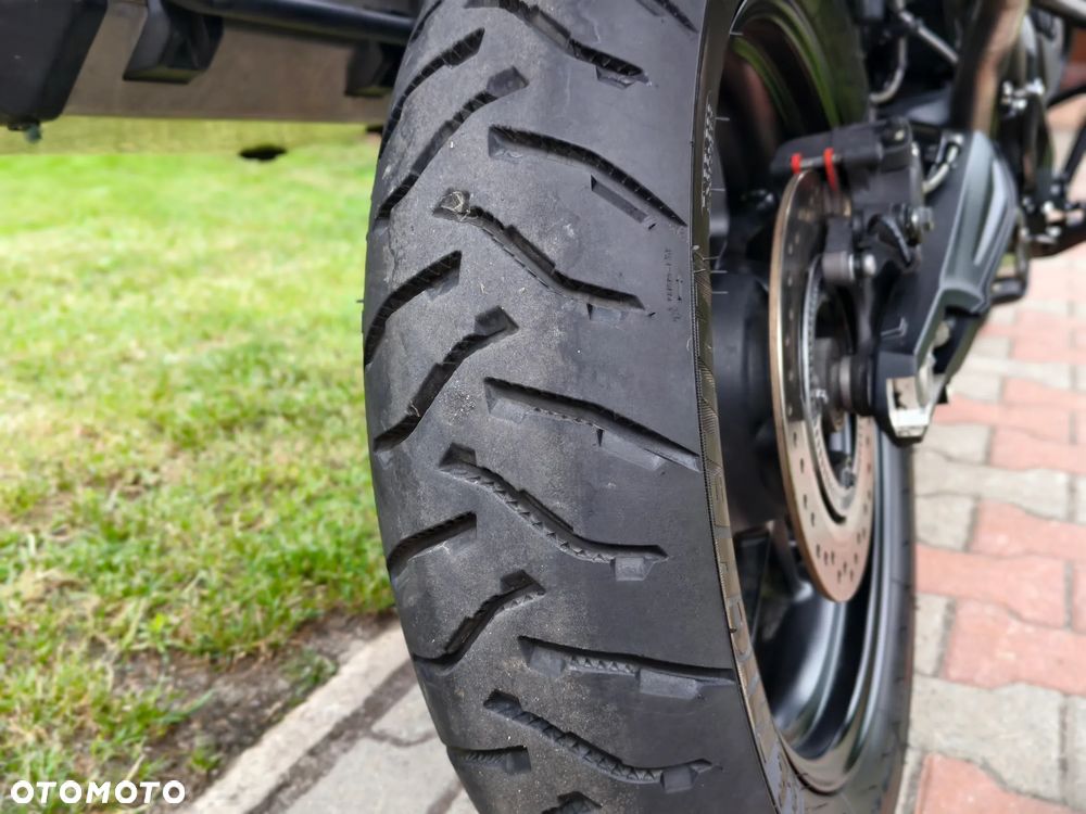 Triumph Tiger - 5