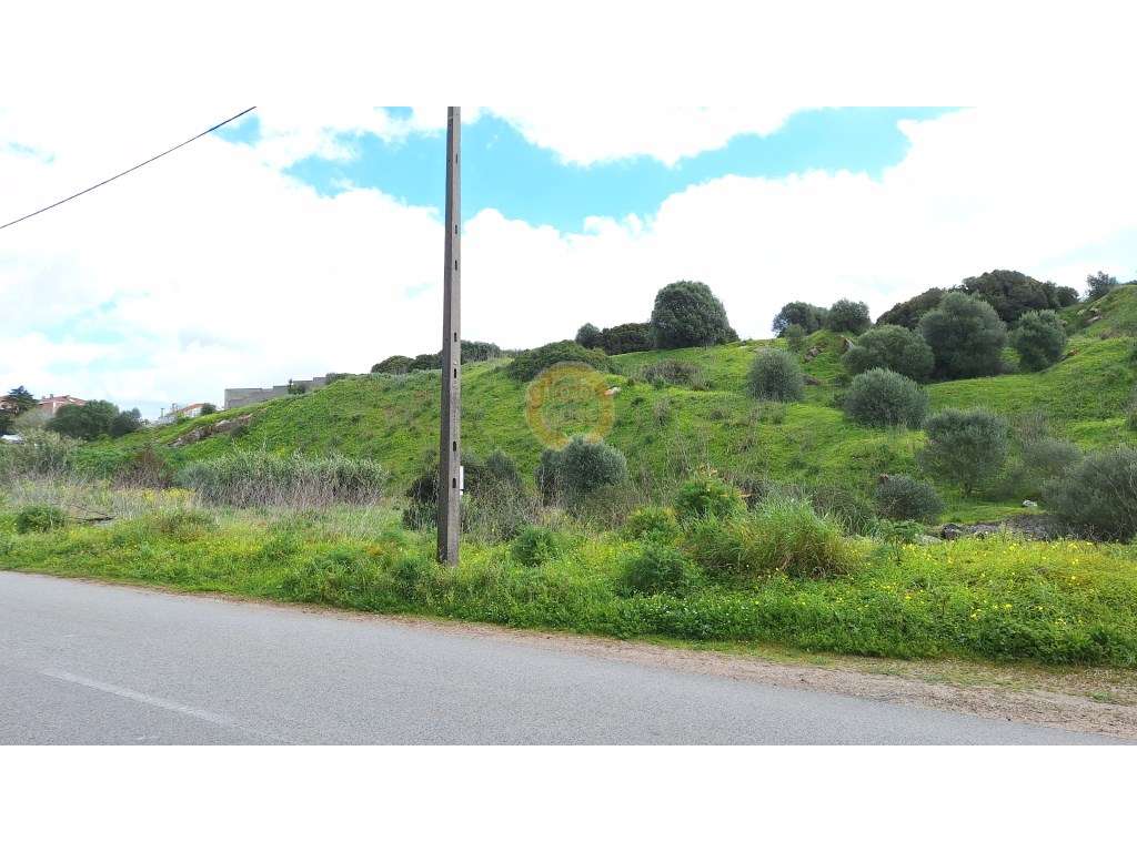 Oportunidade de Investimento: Terreno Rústico em Zambujal - Grande imagem: 5/7