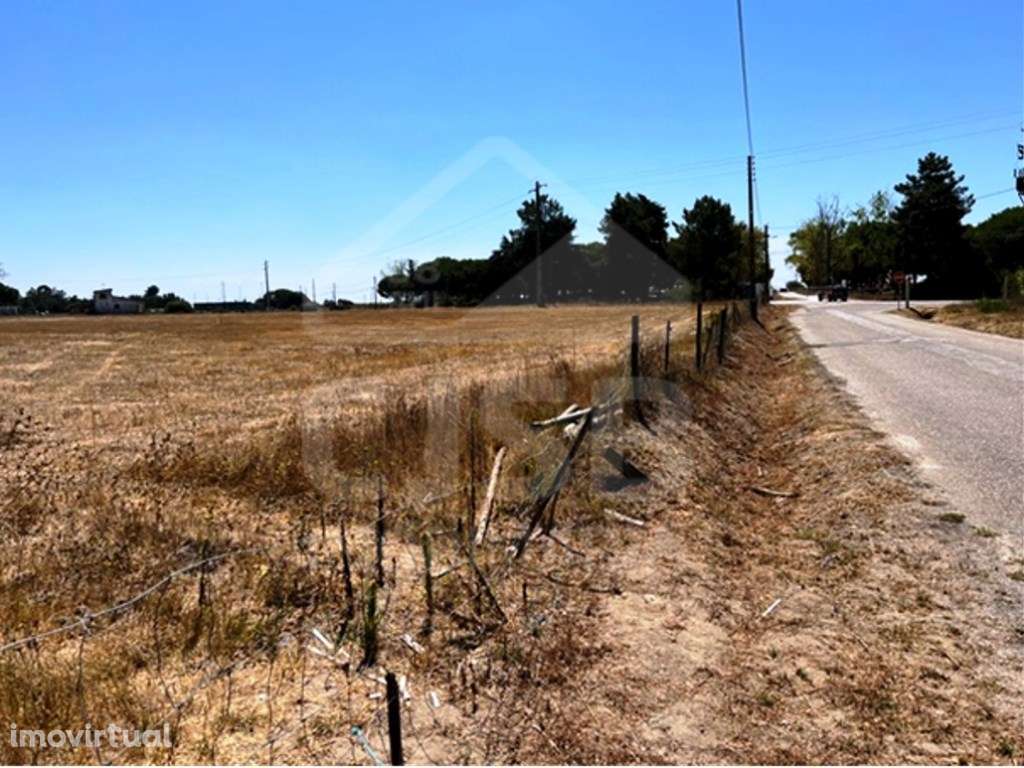 Terreno na Coutada Velha, Benavente - Grande imagem: 2/4