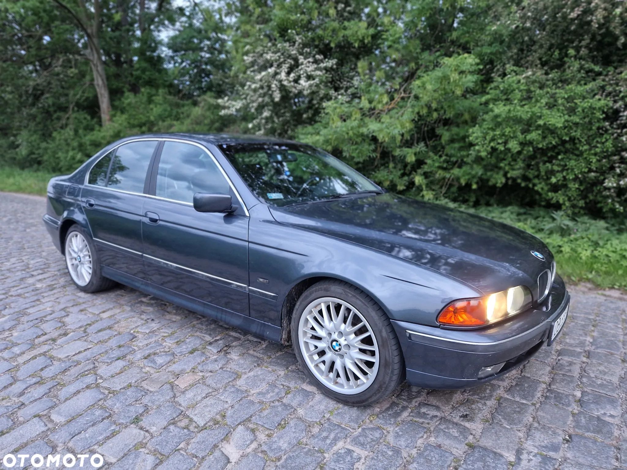 BMW Seria 5 - 1