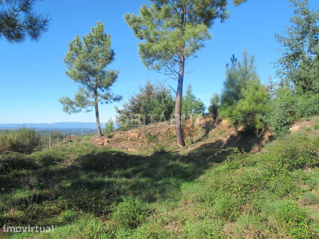 Pouco mais de um hectare de terreno com belas vistas para a montanh... - Grande imagem: 5/6