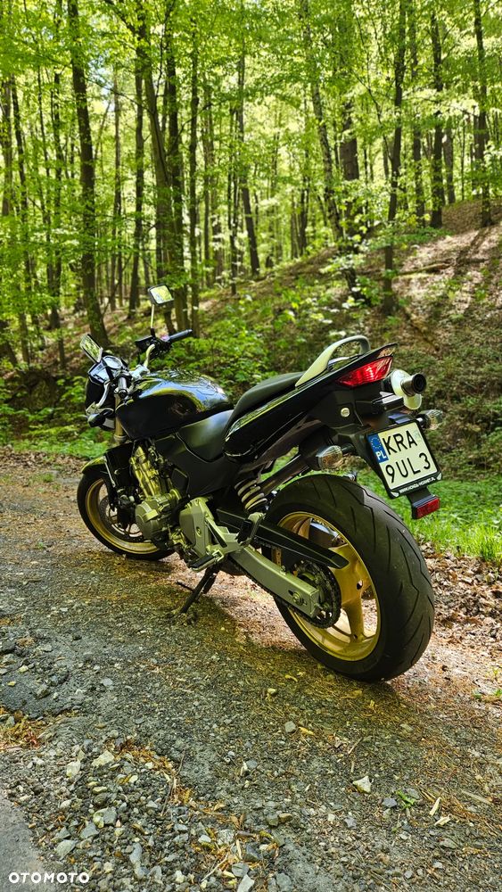Honda Hornet - 6