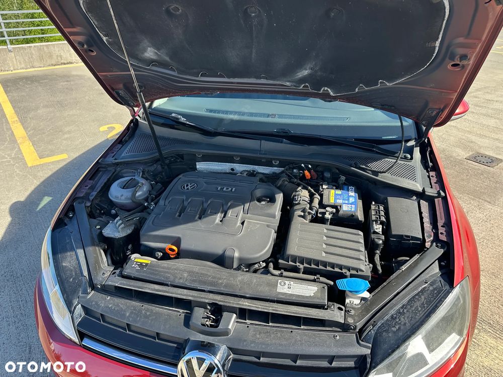 Volkswagen Golf 1.6 TDI Trendline - 10