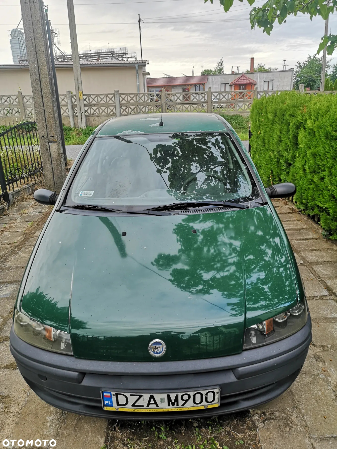 Fiat Punto - 24