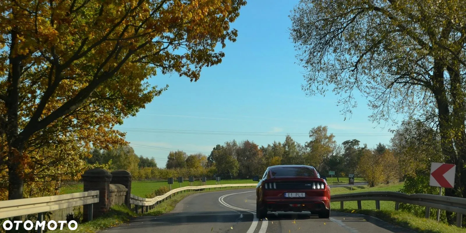 Ford Mustang 5.0 V8 GT - 25