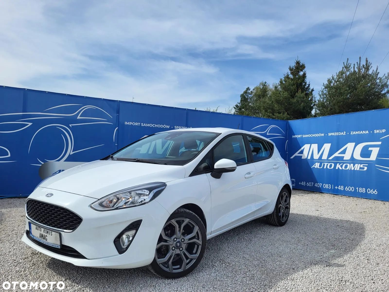 Ford Fiesta 1.0 EcoBoost S&S ACTIVE COLOURLINE - 1