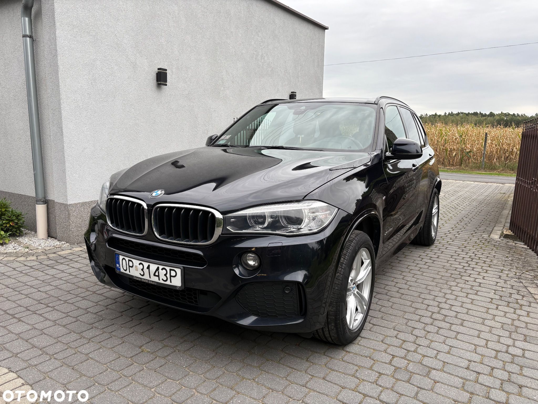 BMW X5 xDrive30d - 1