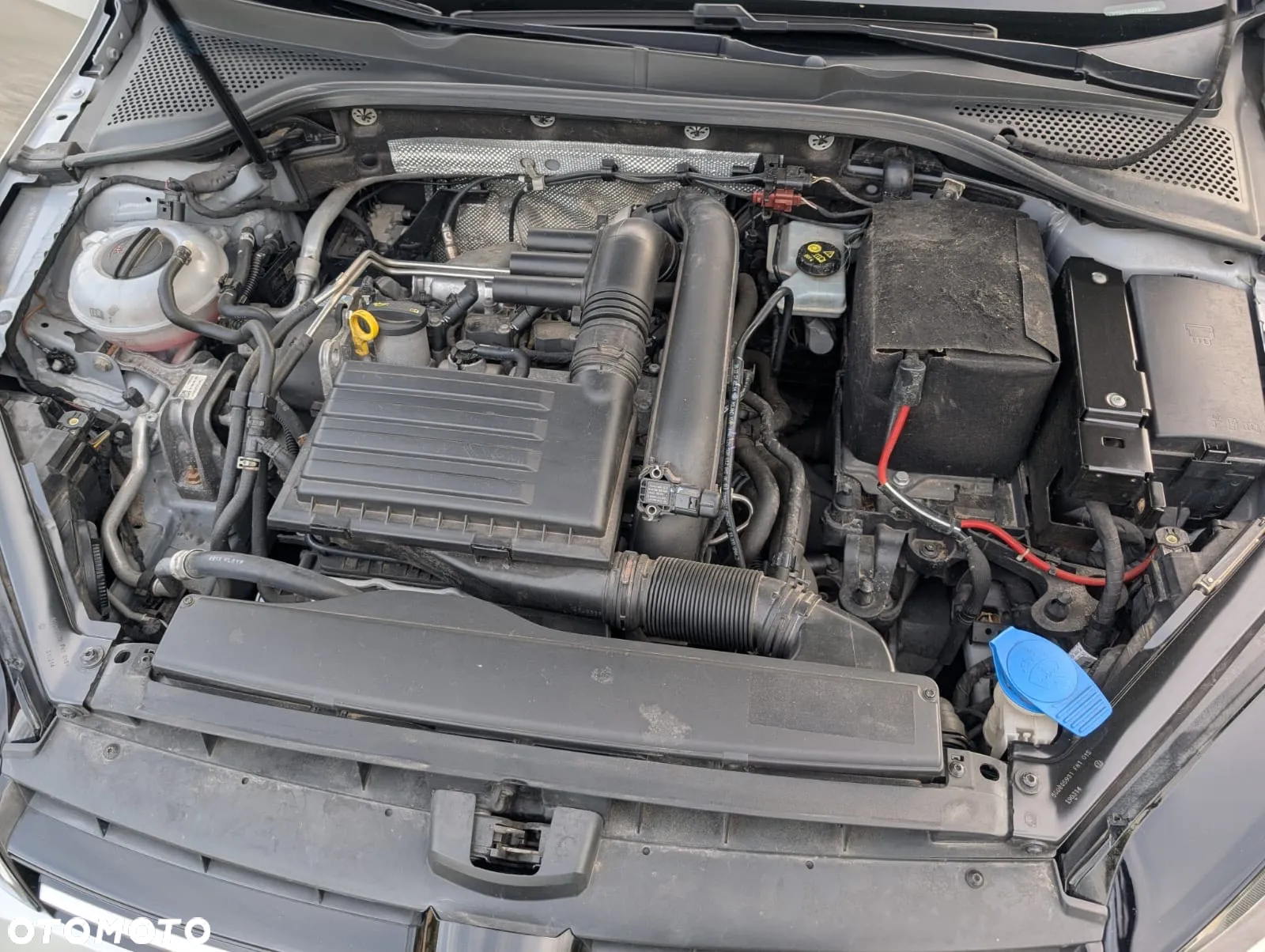 Volkswagen Golf VII 1.4 TSI BMT Comfortline - 12