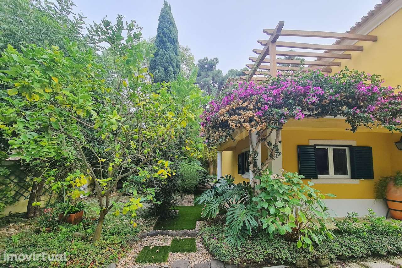 Moradia de Arquitectura tradicional na Verdizela - Grande imagem: 3/60