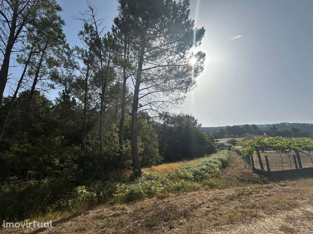 Terreno de construção em Agualonga - Grande imagem: 2/6