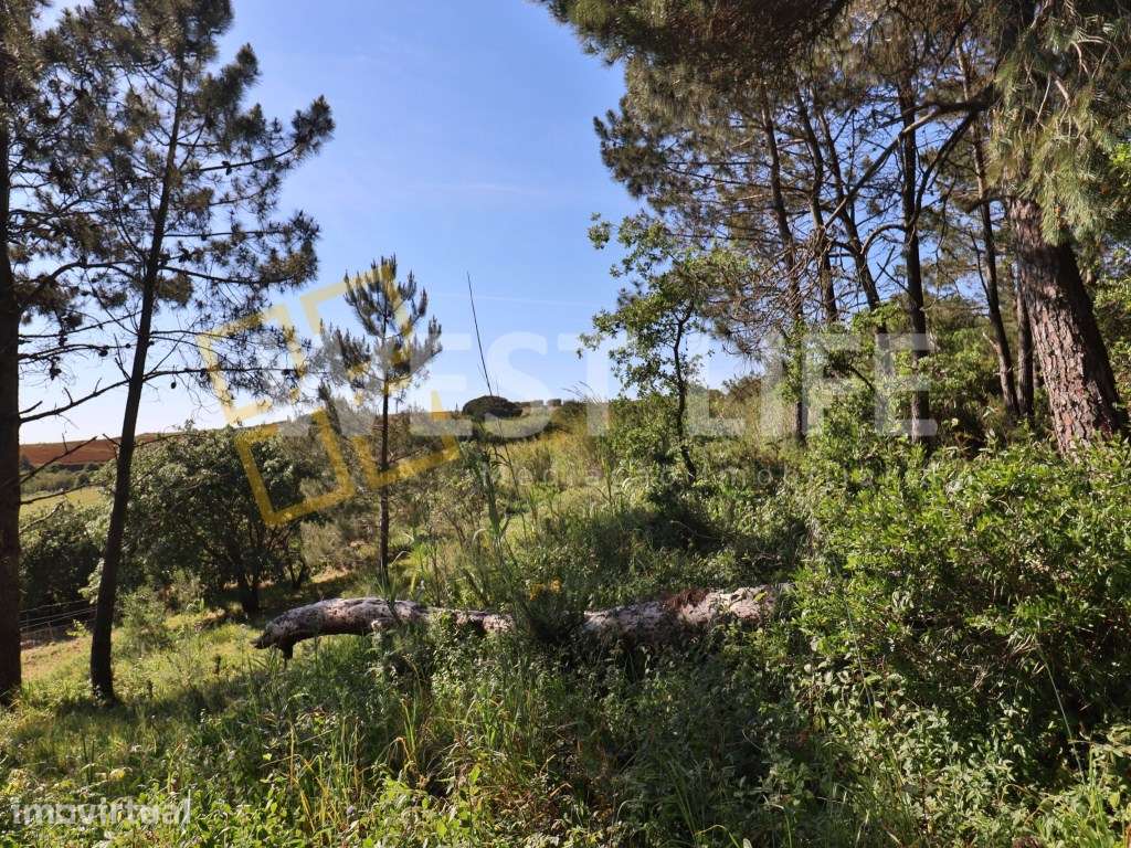 EXCLUSIVO West Life - Terreno Rústico de 4810m2 com poço e fantásti... - Grande imagem: 5/18