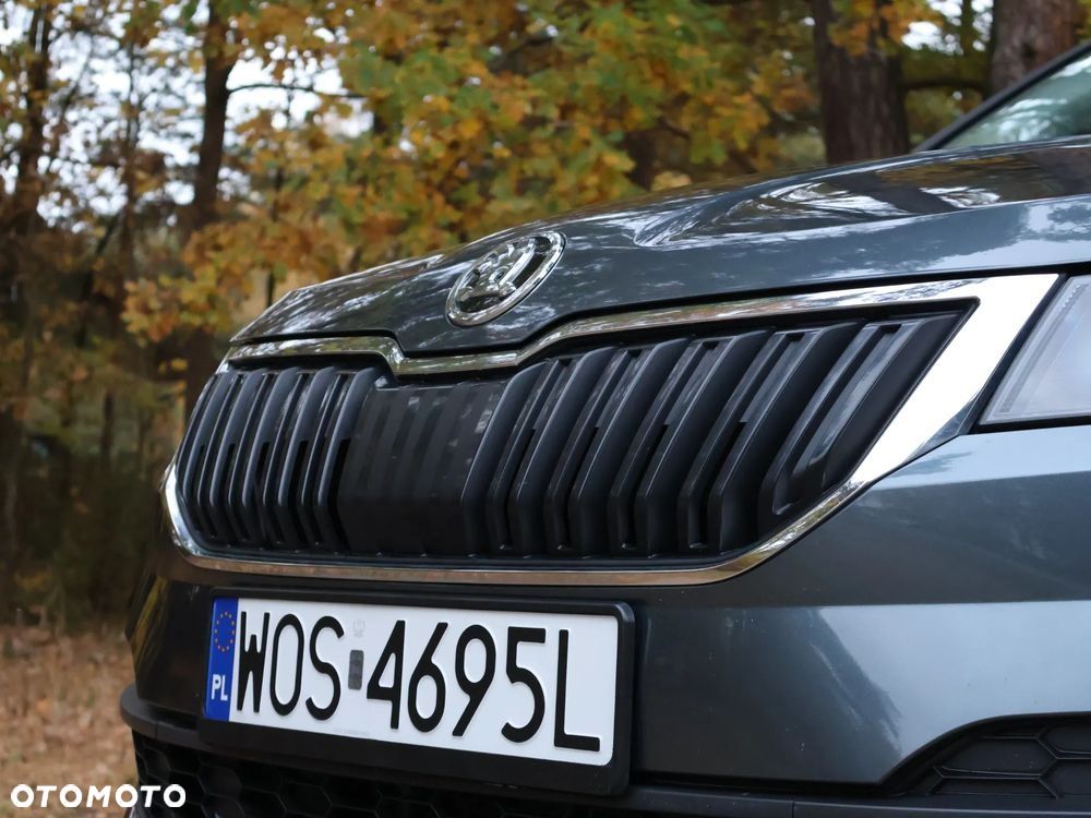 Skoda Karoq - 19