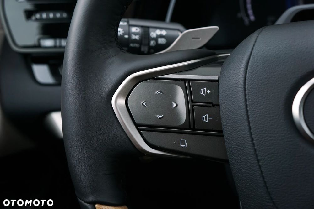 Lexus RX 350h Omotenashi - 25