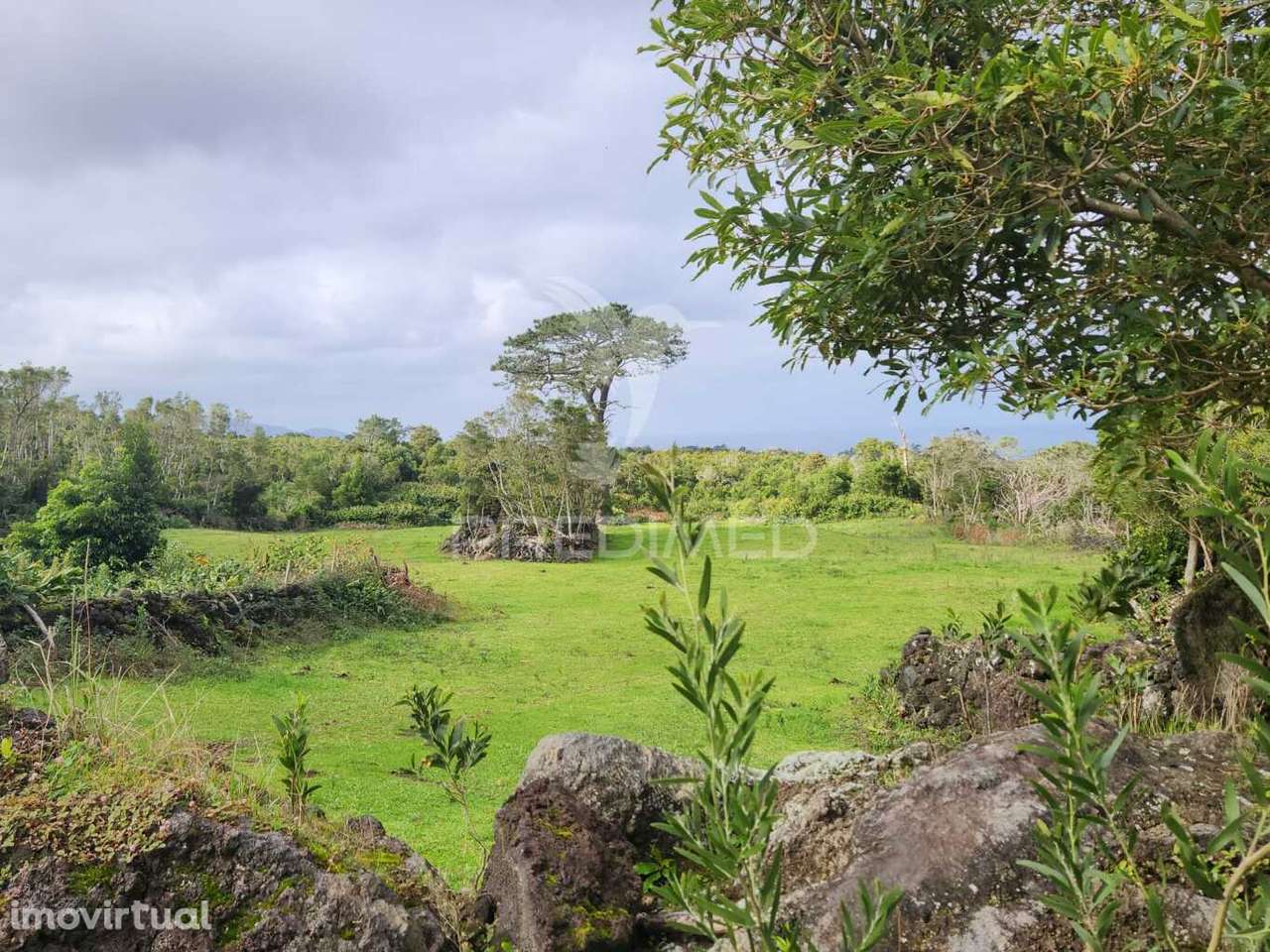 Terreno com pastagem nas Bandeiras - Grande imagem: 3/4