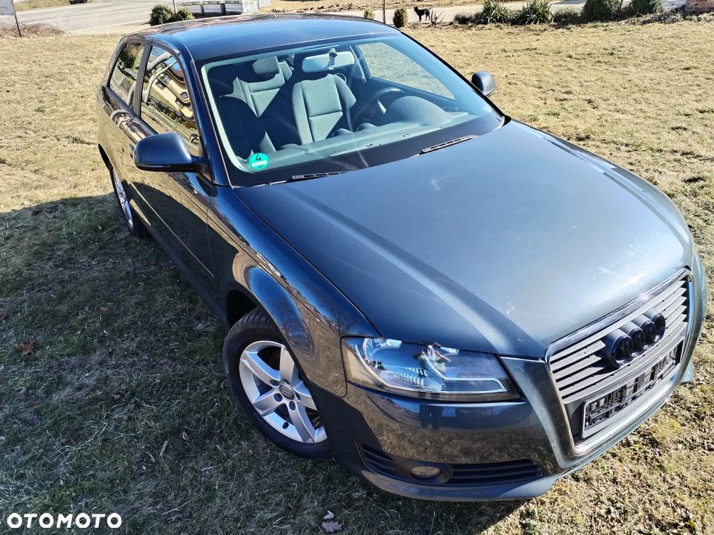 Audi A3 3-drzwiowe - 12