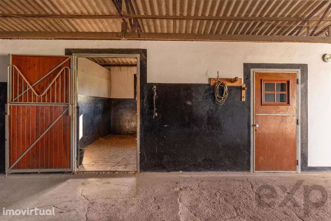 Propriedade privada - Centro Equestre - Grande imagem: 3/22