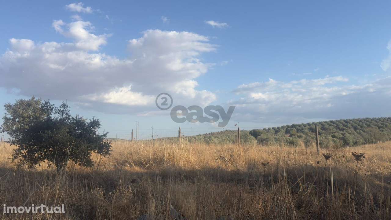 Terreno rústico com 4.5ha, Casével, Castro Verde - Grande imagem: 3/24