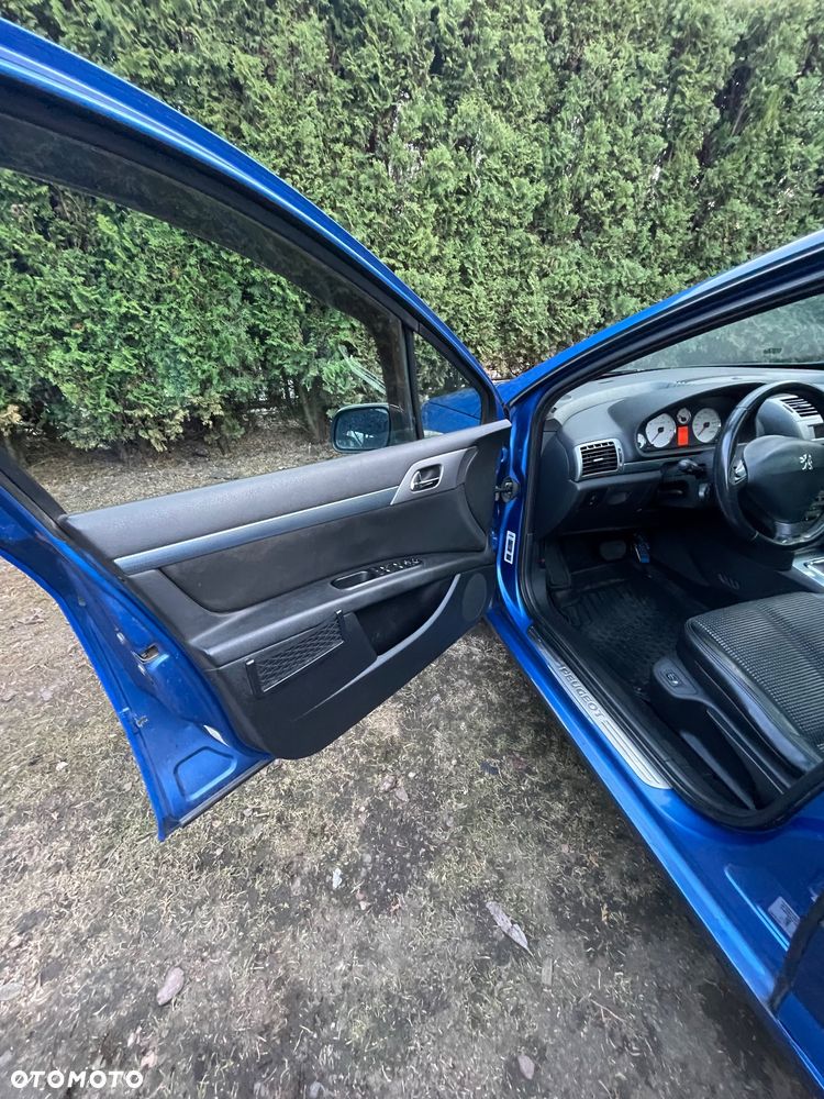 Peugeot 407 - 24
