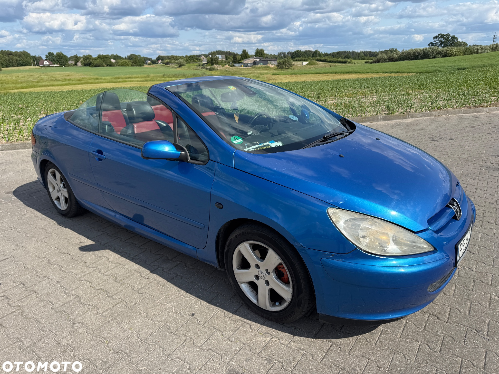 Peugeot 307 CC 2.0 - 13