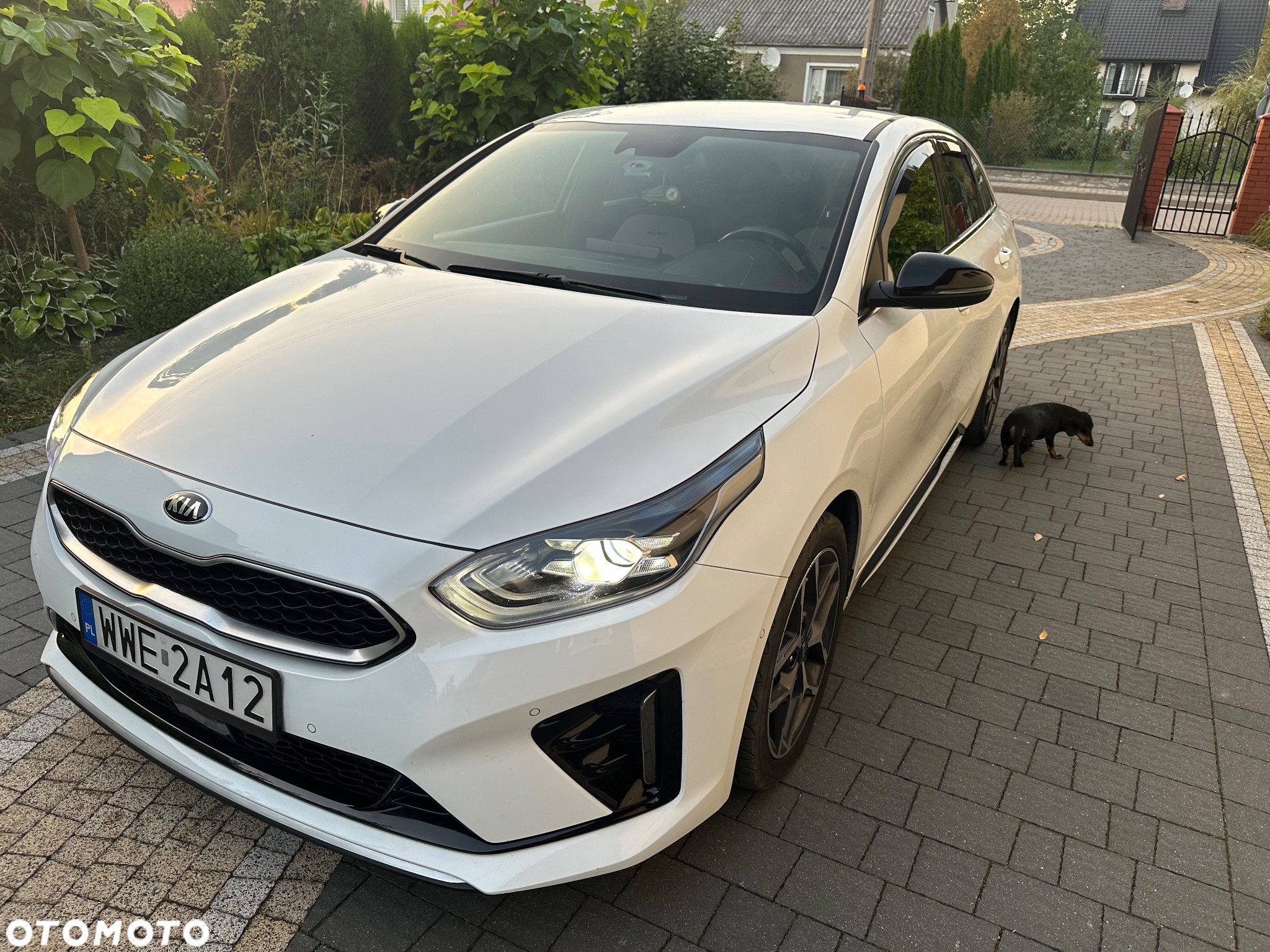 Kia ProCeed 1.6 CRDi GT Line DCT - 3